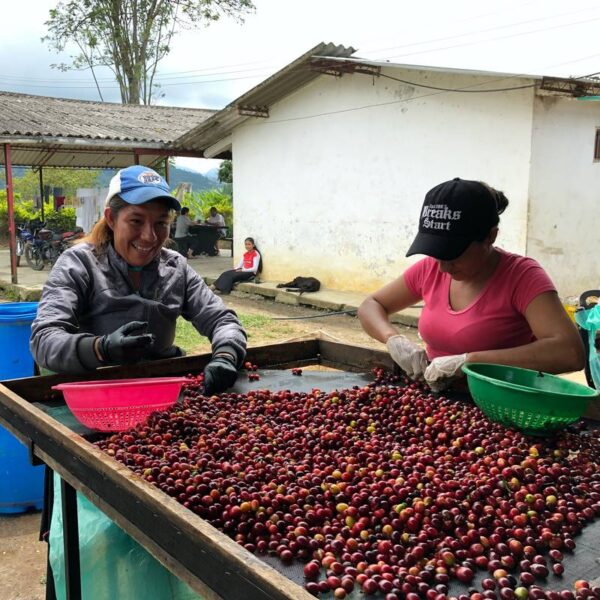 Colombia – La Cabana – Danilo Perez – Anaerobic Fermantation Coffee Direct Trade Espresso Fair2Farmer Fully Washed Washed