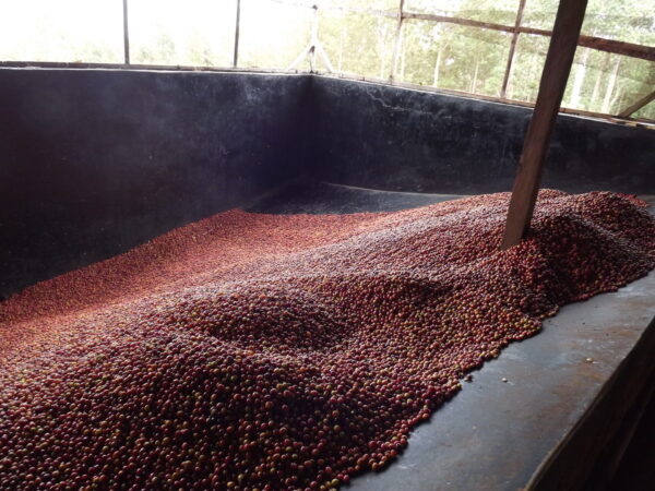 KENYA-i-8fndwqL-X4